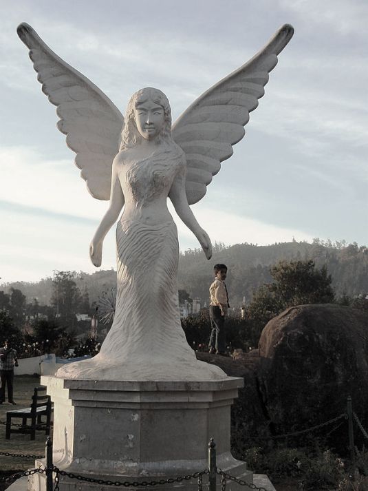 13_Angel statue in rose garden